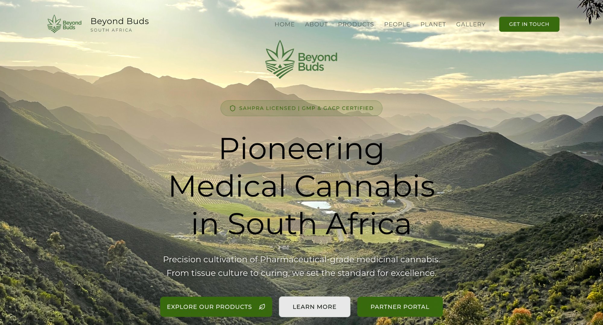 Beyond Buds screenshot